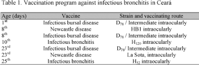 Antibodies Specific To Infectious Bronchitis In Broilers In