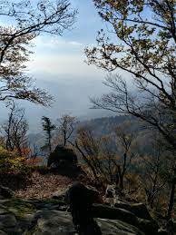Along The Way Up The Kandel Summit Black Forest Germany In Early November Black Forest Germany Camping Near Me Camping Locations
