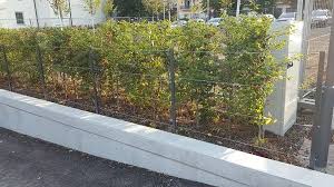 Pin Auf Garten Ideen