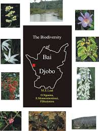 Image result for Trichopteryx marungensis