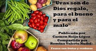 Imagen relacionada