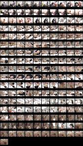 Watch Japanese Teen Big Tits Action Now