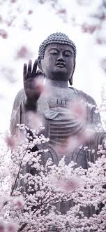 Wallpaper Iphone Hd Photos Buddha Images Choose from a curated selection of buddha wallpapers for your mobile and desktop screens. wallpaper iphone hd photos buddha images