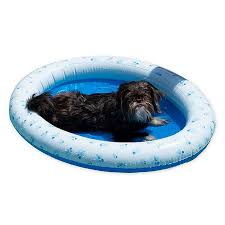 Regency shelving wall mount shelving wire shelving kits regency chrome shelving. Pool Candy Pet Pool Float Bed Bath Beyond