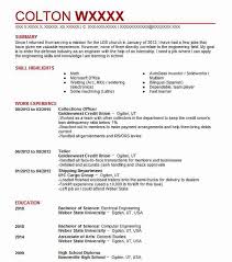 collections officer resume example