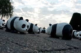 World wildlife fund is a wildlife conservation charity located in washington, dc. Our Network Wwf