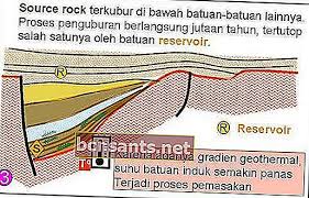 Istilah petroleum pertama kali digunakan dalam karya bertajuk de natura fossilium, diterbitkan pada tahun 1546 oleh seorang pakar mineralogi berbangsa jerman bernama georg bauer. Proses Pembentukan Petroleum
