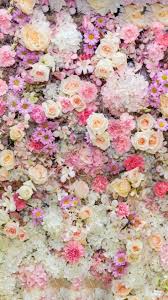 Flower Wall Wallpaper Nature Flowers Flower Backgrounds Flower Iphone Wallpaper