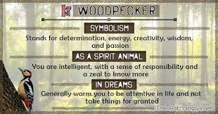 Woodpecker Meaning And Symbolism The Astrology Web In 2020 Spirit Animal Meaning Animal Meanings What S My Spirit Animal