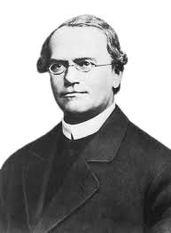 Gregor Mendel Legacy