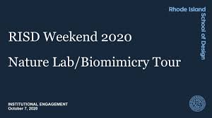 Nature Lab Biomimicry Tour Risd Weekend 2020 Youtube