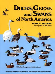 ducks geese swans of north america frank chapman bellrose