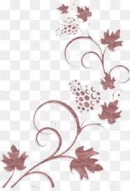 Jenis tanamah hias anggrek bulan di indonesia, bunga ini sering disebut bunga soka jawa dan dijadikan tanaman hias bunga untuk menghiasi pekarangan rumah agar terlihat indah. Bunga Hiasan Unduh Gratis Desain Bunga Bunga Seni Menggambar Bunga Gambar Png