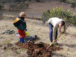 How To Bury Your Dog Milkwood Permaculture Courses Skills Stories