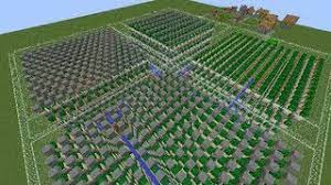 A fence post will block the cactus from hitting the opposite cactus so it. Biggest Factions Cactus Farm
