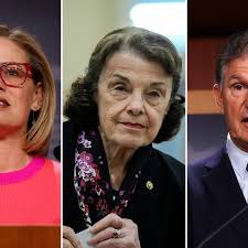 Full List of Senators Holding Democrats' Future Majority in Limbo