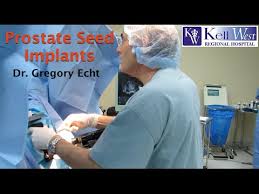 The hormone therapy shrinks the prostate and makes it easier to put the seeds into the right place. Prostate Seed Implants Treatment Of Prostate Cancer Dr Gregory Echt Youtube