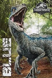 High quality jurassic world blue gifts and merchandise. Amazon De Jurassic Park Pp34317 Drucken Mehrfarbig 61 X 91 5cm