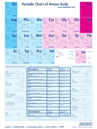 Periodic Chart Of Amino Acid Pdf