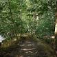 Let's Go Orienteering