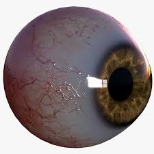 Realistic Human Eye By Rustamian Realistic Human Eye Model High Quality And Perfectly Suited To Use In Advertising Pre Eye Art Human Eye Anatomy For Artists