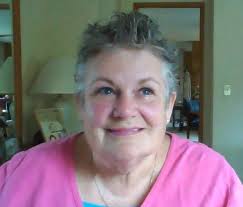 Ann Davison Obituary (2017)