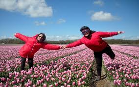 Tra qualche mese in olanda uno spettacolo unico nel suo genere. Viaggi In Bici Fuga Di Primavera In Olanda Tra I Tulipani In Fiore Rivista Bc