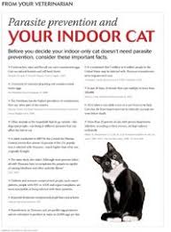 Client Handout Parasite Prevention For The Indoor Only Cat