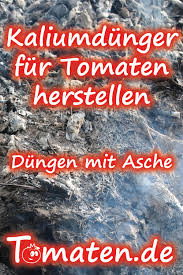 Kaliumdunger Fur Tomaten Herstellen Dungen Mit Asche Tomaten Zuchten Tomaten Pflanzen Asche Dunger