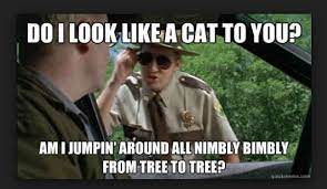 If you claim that something is on the dvd commentary, you must provide proof that it is (with a picture or quote). 20 Super Troopers Memes Everyone S Sharing Sayingimages Com
