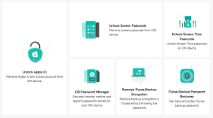 The service was excellent, efficient, and professional. Anyunlock The Best Tool For You If You Forgot Iphone Ipad Passcode Tapscape