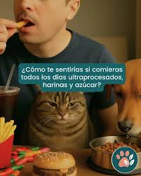 Vivimos en una cultura que ama las soluciones rápidas. Una nueva pastilla,  un nuevo suplemento, una receta para tapar síntomas. Que no duela, que no  se vea, que no cambie, que no