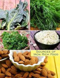 35 vegetarian iron rich food iron veg indian food list