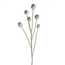 Maybe you would like to learn more about one of these? Artificial Poppy Heads Painted Grey Wholesale Dutch Flowers Florist Supplies Uk