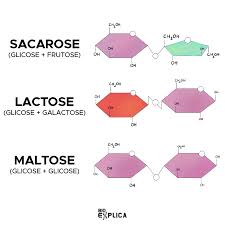 Glicose