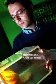 37 Uc Irvine Stock Photos, High-Res Pictures, and Images