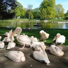 Pin On Visitkarlsruhe Instagram Pictures