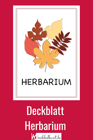Als basisinformation wird meistens noch der autor des herbariums genannt. Herbarium Deckblatt Fur Die Schule Zum Ausdrucken Deckblatt Herbarium Vorlage Ausdrucken