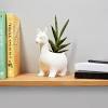 Place your succulents or cacti in this playful large llama shaped planter from west elm. Https Encrypted Tbn0 Gstatic Com Images Q Tbn And9gcsvdvqr5gzxev6r7j68gdw9zpsp0c9 Lfj1mjewbh2ophwazjug Usqp Cau