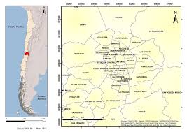 En este se detalla que en la región metropolitana ya son 12 las comunas que superan los 1.000 según la cifras cortadas al 17 de mayo, las comunas más afectadas de la rm son santiago (2.961). Localizacion De La Region Metropolitana De Santiago Y Sus Comunas En Chile Download Scientific Diagram
