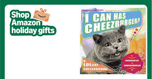 Image result for i can has cheezburger