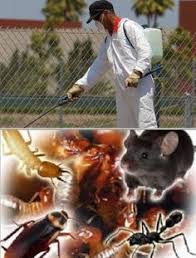 Are you searching for reliable and effective pest control services in maryland? 24 Pest Control In Washington Dc Ideas Pest Control Services Pest Control Exterminator