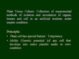 Methods of production following are the steps for the production of encapsulated seeds Crop Improvement Through Plant Tissue Culture Dr R