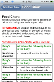 baby food guide by digital vogue inc