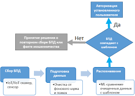 Chto Takoe Biometricheskaya Big Data Sistema S Blokom Machine Learning