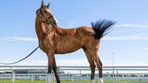 Find out how in this article. Klwufwg3dtydqm