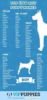 Top 100 Puppy Names For Boys Infographic Favoritepuppynames Puppy Names Boy Puppy Names Dog Names