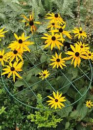 Plant supports & accessories speed germination and seedling growth to produce healthy plants ready for transplant with our helpful and economical line of seed starting products. Round Shape Grow Through Plant Supports For Crowed Flowerbeds
