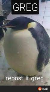 Repost If Greg R Danidev