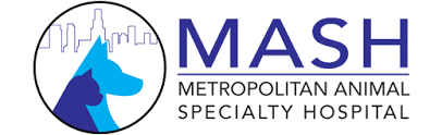 El segundo, hawthorne, hermosa beach, lawndale. Metropolitan Animal Specialty Hospital Los Angeles Veterinary Clinic Metropolitan Animal Specialty Hospital